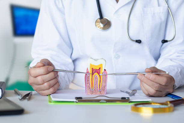Best Emergency Root Canal Treatment in Decatur, IL